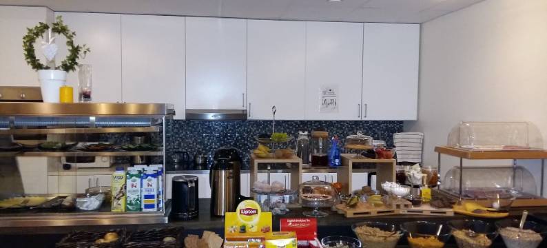 纳卡市酒店(Nacka Stadshotell)图片