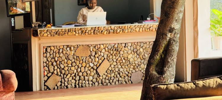 Flair 露营体验(Flair Camp Experiences)图片