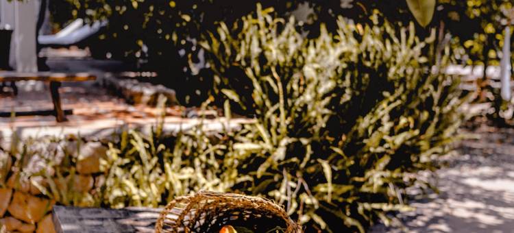 坎佩雷索德农场酒店(Agroturismo Can Pere Sord)图片