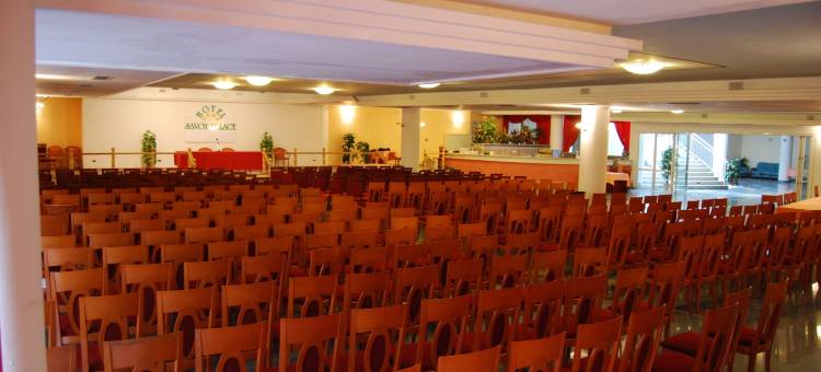 萨沃伊宫酒店 - 托内利酒店(Hotel Savoy Palace - TonelliHotels)图片