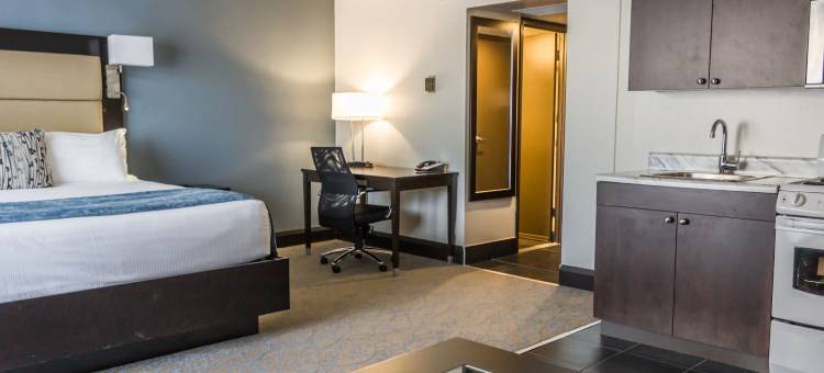 渥太华使馆酒店及套房(Ottawa Embassy Hotel & Suites)图片