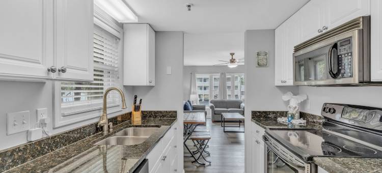 岛屿棕榈(Island palms)图片