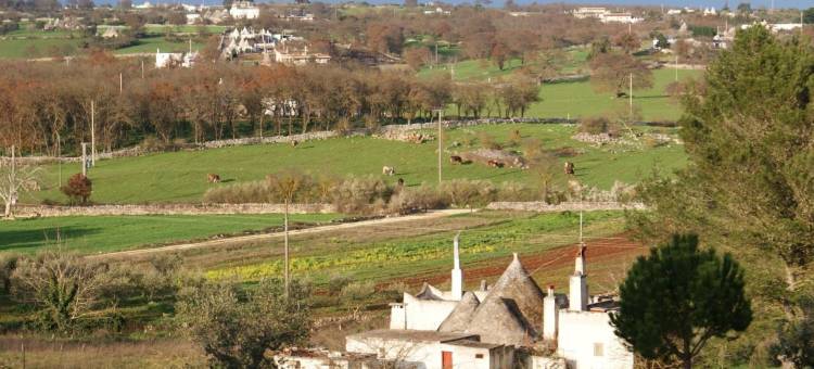 奥斯图尼特鲁里亚勒格罗意大利私人度假屋(Agritrulli)图片