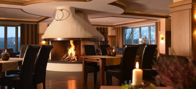 赛兰罗大比奥斯酒店(Bio-Seehotel Zeulenroda)图片