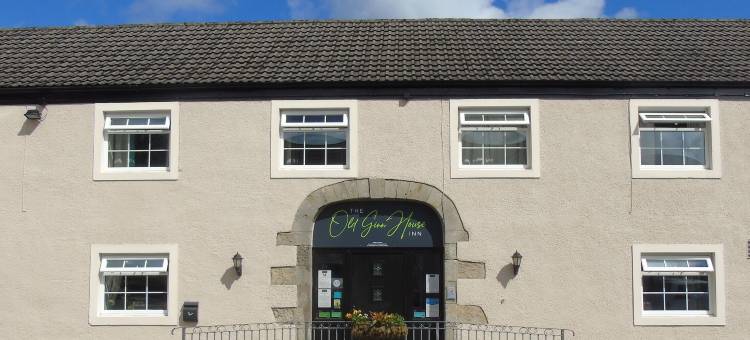 老吉恩别墅旅馆(The Old Ginn House Inn)图片