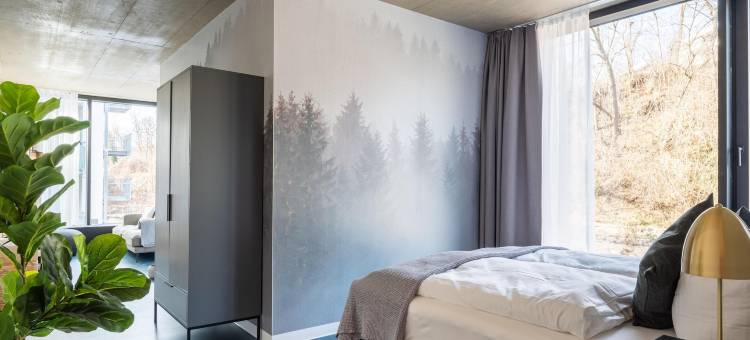 Limehome爱尔福特马克西米利安-韦尔希街(Limehome Erfurt Maximilian Welsch STR)图片