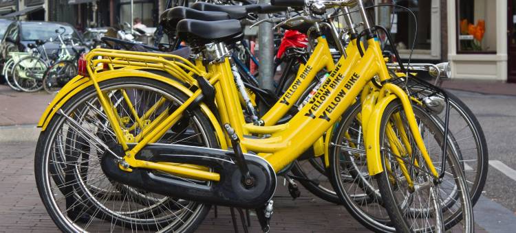 昆汀金熊酒店(Quentin Golden Bear Hotel)图片