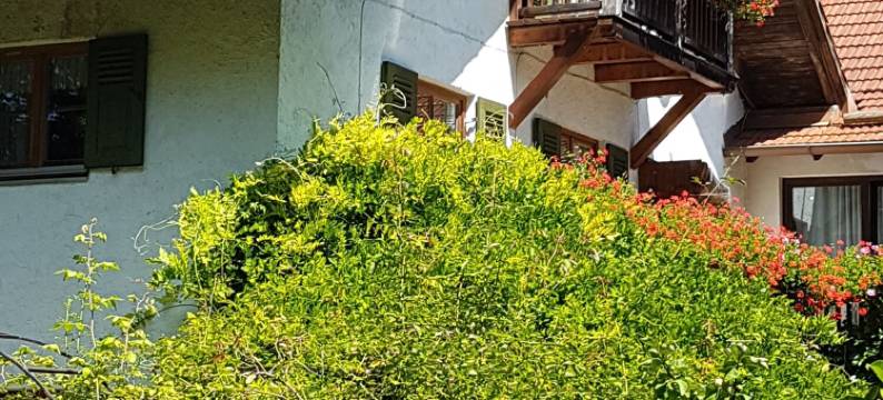 玛尔丁纳之地酒店(Martina's Place)图片