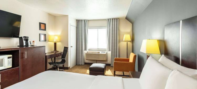 舒适套房酒店(Comfort Inn & Suites)图片