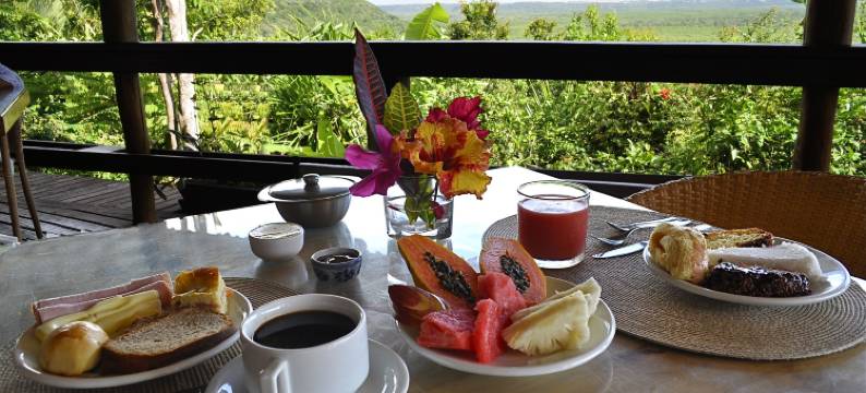 马纳卡普萨达帕尔克酒店(Manacá Pousada Parque)图片