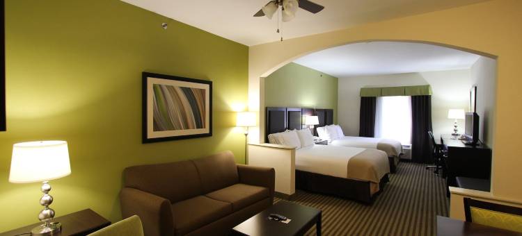 智选假日套房酒店纳科多奇斯(Holiday Inn Express & Suites Nacogdoches)图片