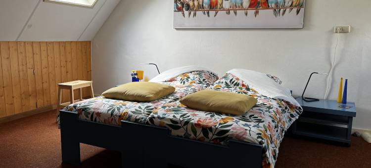 真德胡伊真民宿(B&B Zandhuizen)图片