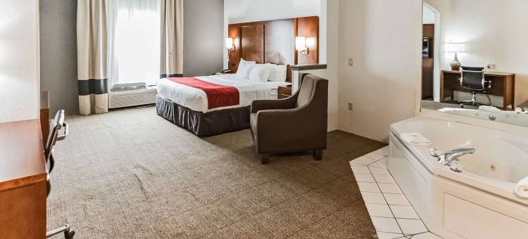 索尔兹伯里I-85舒适套房酒店(Comfort Suites Salisbury I-85)图片