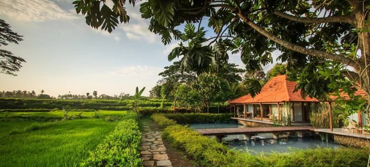 乌布格利亚KCB别墅(Griya KCB Villa Ubud)图片