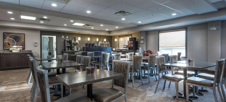 廷柏山套房酒店(Timber Ridge Inn and Suites)图片