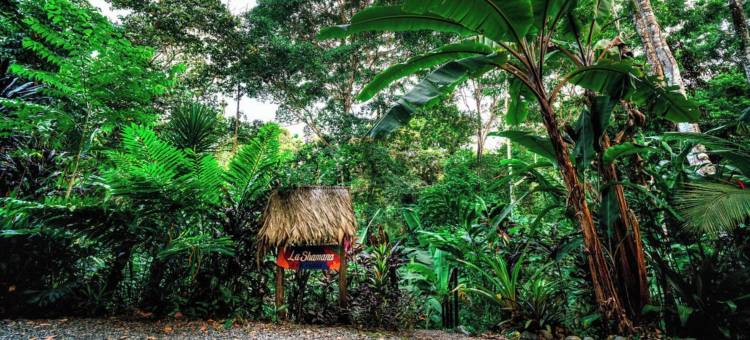 森林中的La Shamana生态概念酒店(La Shamana - Ecological Concept in Jungle)图片