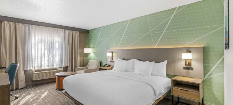 路易斯威尔博览中心华美达酒店(Comfort Inn & Suites Louisville Airport Fair & Expo)图片