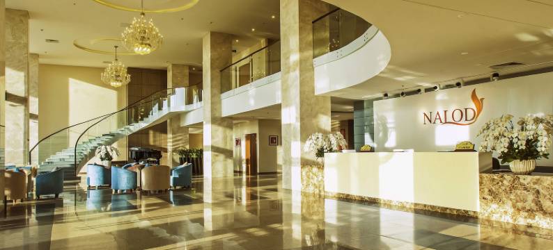 岘港拿罗德酒店(The Nalod Da Nang)图片