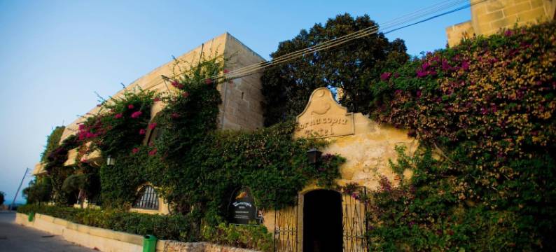 聚宝盆酒店(Cornucopia Hotel)图片