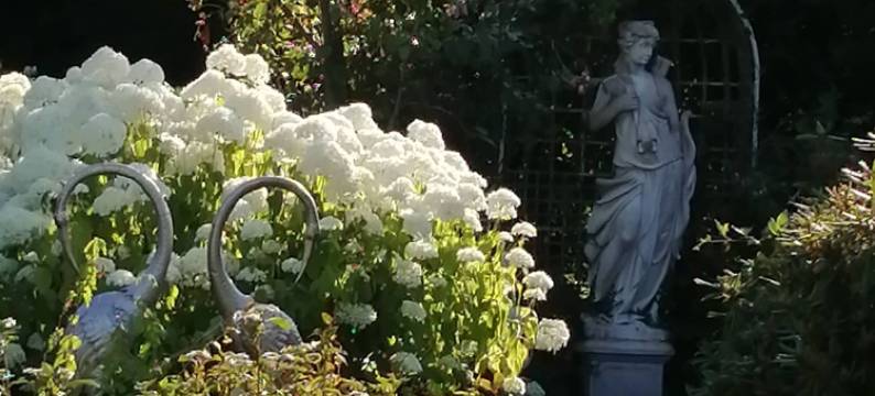 费兰富林格兰特酒店(Le Frêne Fringant)图片