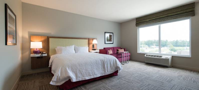 希尔顿欢朋套房酒店-沃尔特伯勒(Hampton Inn & Suites Walterboro)图片