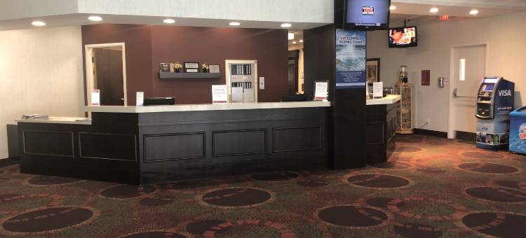 尼亚加拉瀑布/瀑布景观华美达酒店(Ramada by Wyndham Niagara Falls/Fallsview)图片