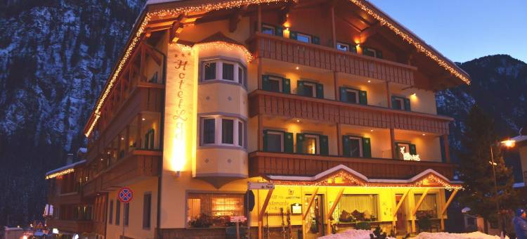 拉狄那酒店(Hotel Ladina)图片