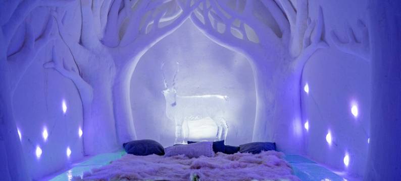 索利斯尼瓦伊戈鲁酒店(Sorrisniva Igloo Hotel)图片