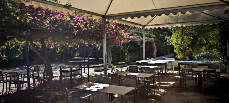 QV 21 - 草帽公寓 - 昆塔维拉(QV 21 - Straw Hat Apartment - Quinta Velha)图片