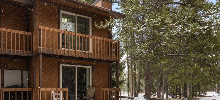 家园1号(Homestead #1)图片