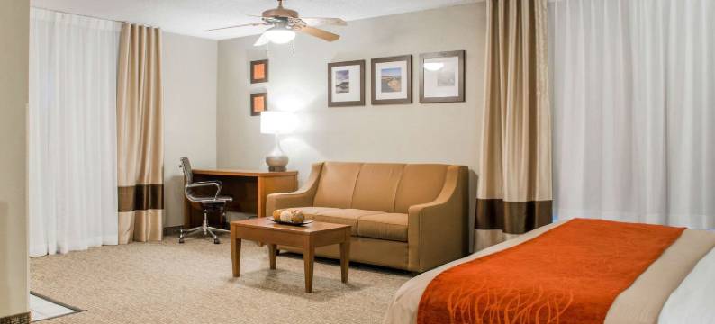 舒适酒店(Comfort Inn)图片