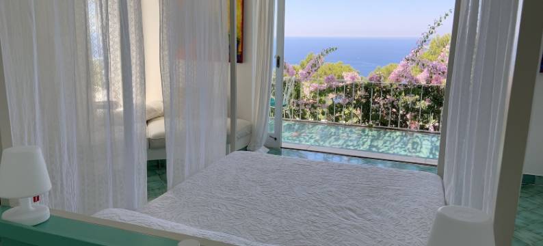 伊尔卡鲁布卡普里(Il Carrubo Capri)图片