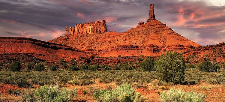 沃尔夫的摩押成人酒店(Wolfe's Hotel Moab)图片