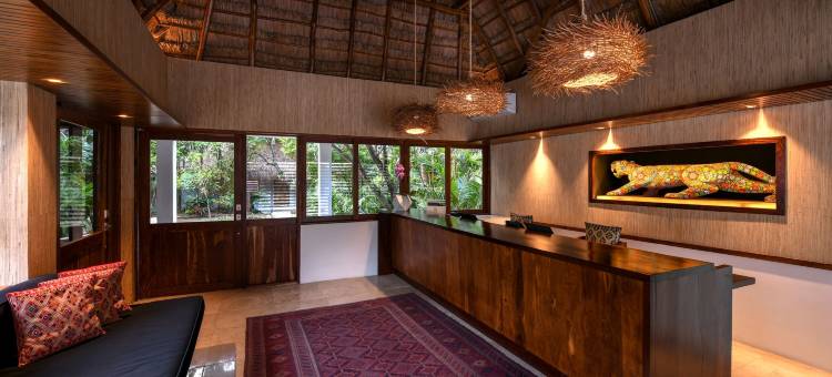 牙豹海滩酒店(Casa del Jaguar Beach Hotel)图片