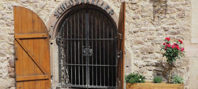 施潘根贝尔格城堡酒店(Schloss Spangenberg)图片