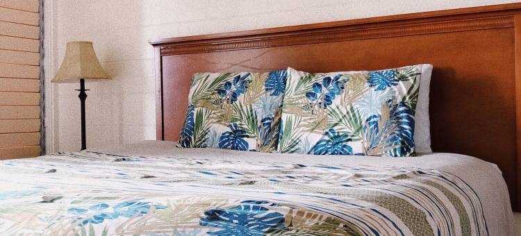 希洛芦苇湾酒店(Hilo Reeds Bay Hotel)图片