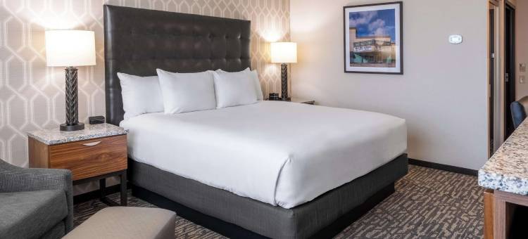 德鲁里广场酒店达拉斯阿林顿(Drury Plaza Hotel Dallas Arlington)图片