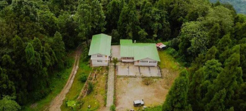 阿尔卑斯丛林住宿(The Alpine Jungle Stay)图片