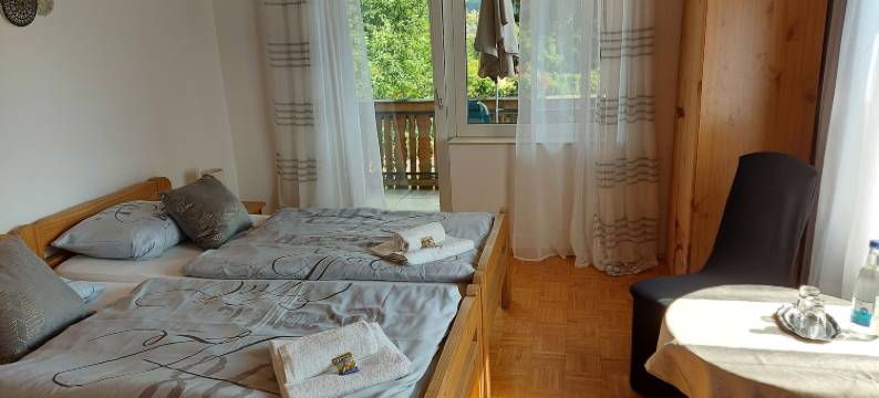 德文特尔酒店及膳宿公寓(Hotel & Pension Haus Dewenter)图片