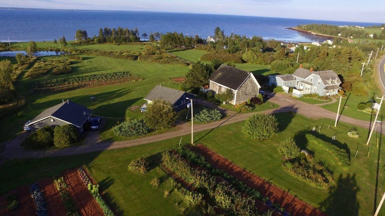 阿梅赫斯特海岸乡村旅馆(Amherst Shore Country Inn)