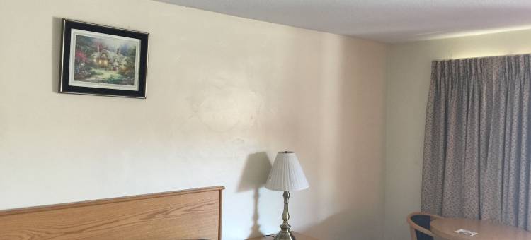 哈希恩达汽车旅馆(Hacienda Motel)图片