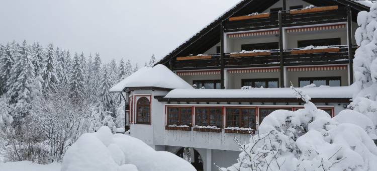 沃尔德布里克尼比斯酒店(Hotel Waldblick Kniebis)图片