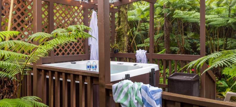 火山村庄旅馆(Volcano Village Lodge)图片