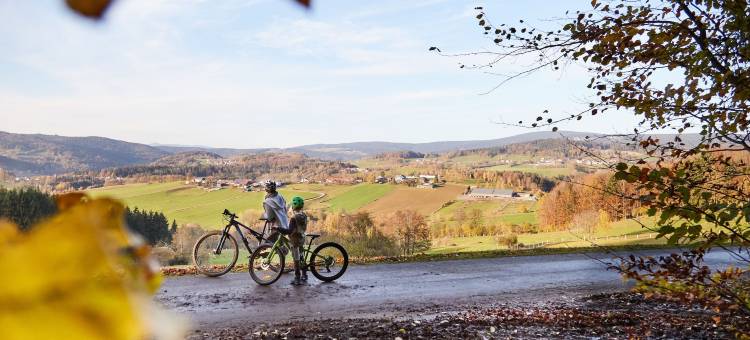 森林与草地度假公寓(Ferienwohnungen Wald Und Wiese)图片
