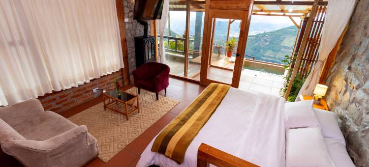 梦中的雪松(El Cedro SOÑADO)图片