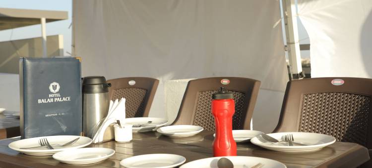 巴拉吉宫殿酒店(Hotel Balaji Palace)图片