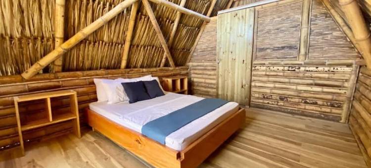 帕洛米诺日出(Palomino Sunrise)图片