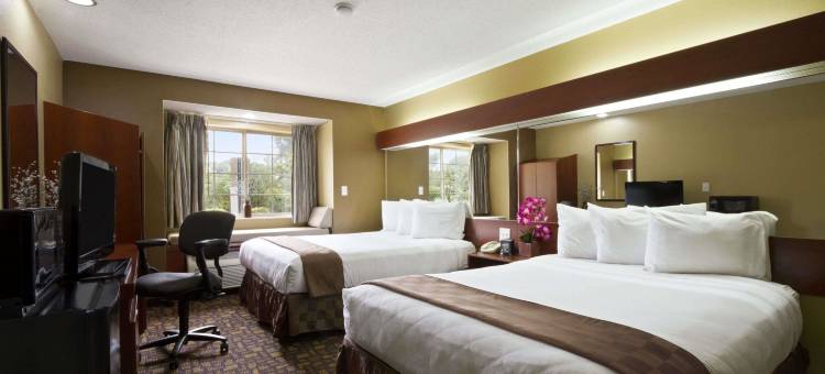 Microtel Inn & Suites by Wyndham Lithonia/Stone Mountain图片