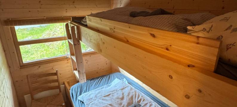 Cozy and family-friendly mountain cabin图片