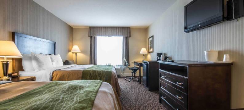 舒适套房酒店(Comfort Inn & Suites)图片